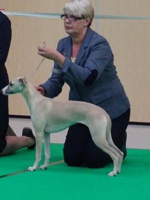 1st in MPB at aged 7 months