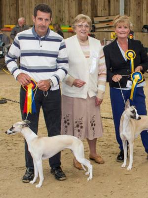 Hound Puppy Group 1