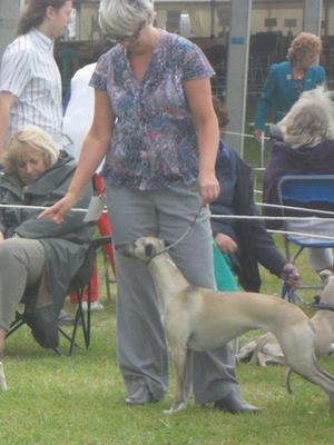 Southern Counties 2012