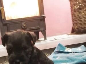 By the fire!
