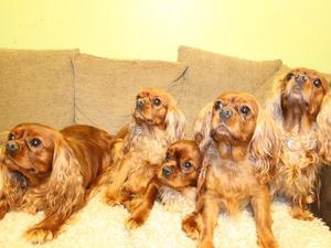 Kizzy Far Right