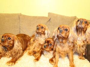 Second in from right 'Daisy'