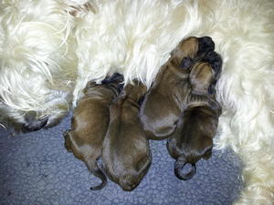 Babies cuddling!!!