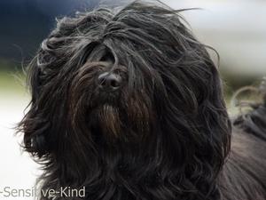 Nora's stunning Head