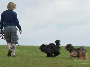 They love to run