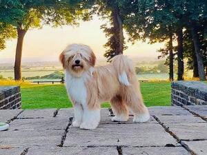 9 months old!