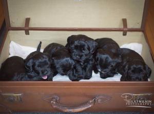 Surprising what you find in a suit case