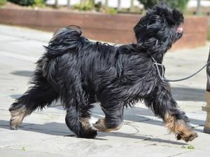 On the move, a star in the making!