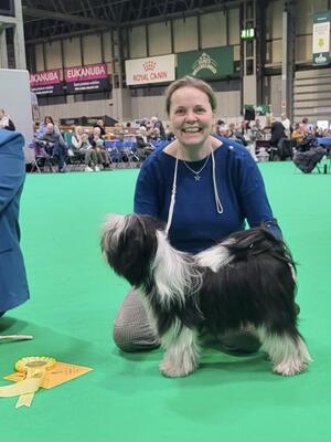 Crufts 2024 (3rd Puppy Bitch)