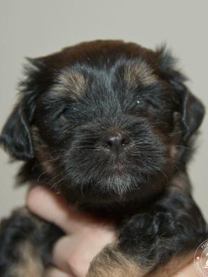 Baby Eugene
