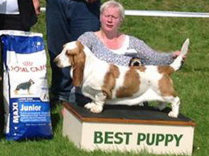 Pammy winning BPIS BHC Ch. 2014