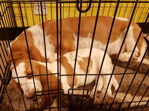 Harry snoozing with her mum