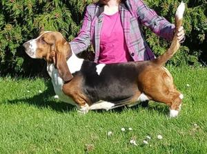 Jammy at 10 months