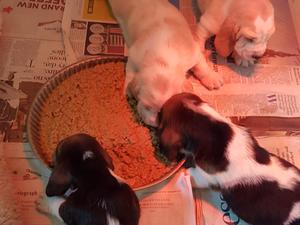 First meal!