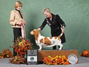 Best In Senior Sweeps - 2014 Nationals