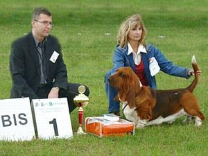 BIS (judge Rudy Smits)