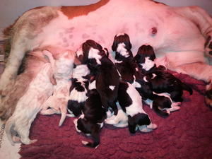 Creamy's Babies - first day