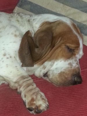 Maddie Chilling