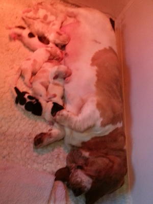 Nor & her Babies
