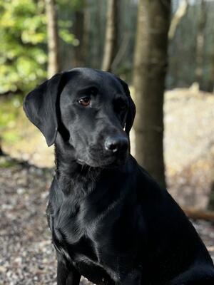 Mum (Willow)