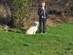 BONNIE DOING WHAT SHE DOES BEST. SITTING !!!
