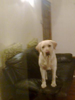 THIS IS MY SOFA