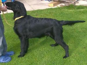 Levi at 6 months