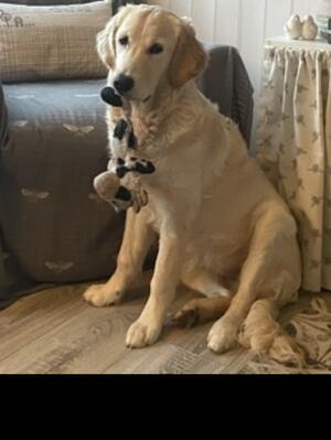 Daisy 7 months
