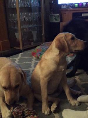 Willow hanging out with her mum