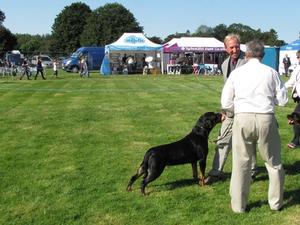 Buffy with good friend Ade Bunton