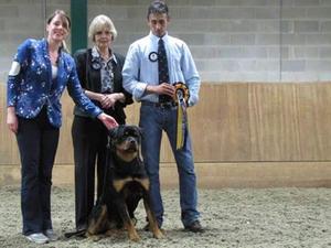 Bruno - BPIS at LASER