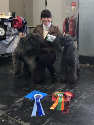 Crufts 2020 Placings