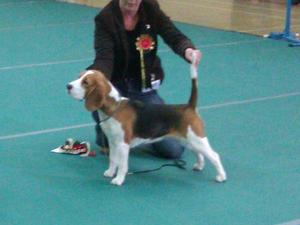 Lola BPIS Aberystwyth