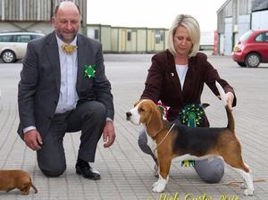 Best Puppy in Show