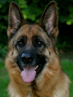Cita head shot