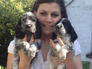 Pups
