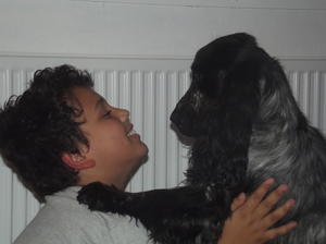 Mr Darcy