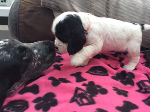 Meeting Aunty Mable
