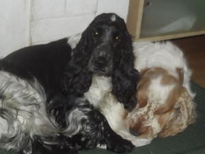 Parents Grace and Sidney