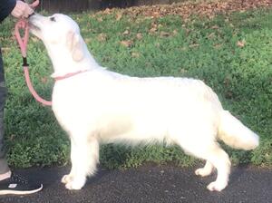 LILLIBET 6 MONTHS OLD