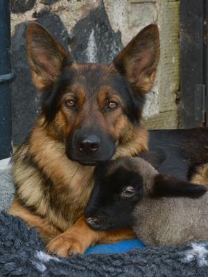 Una & Joey