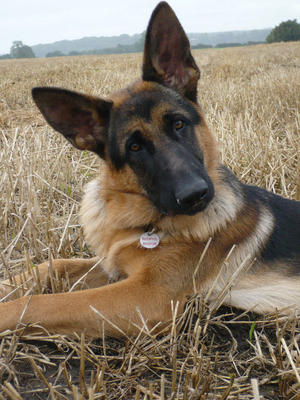 Uno at a year old