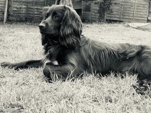 Just relaxing in the garden.