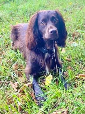 Butter Wouldn't Melt.