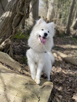 Suri having fun