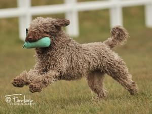 Josalyn Juananci enjoying a scurry