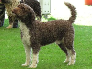 Dad - Josalyn Hernando Dylan