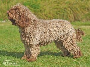 Josalyn Juananci (Nanci) 22 months.