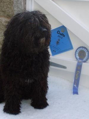 At home with his prize...