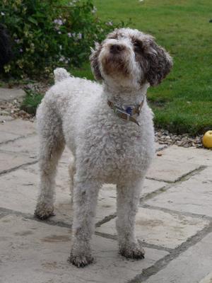 Josalyn Damita (Willow) 2009